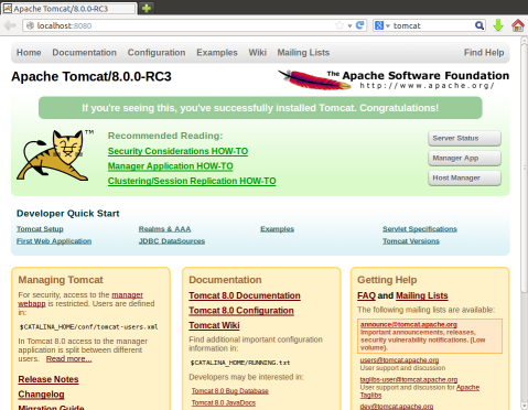 Tomcat: It Works Page