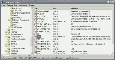 REG_SZ is a wrong type for PATH variable